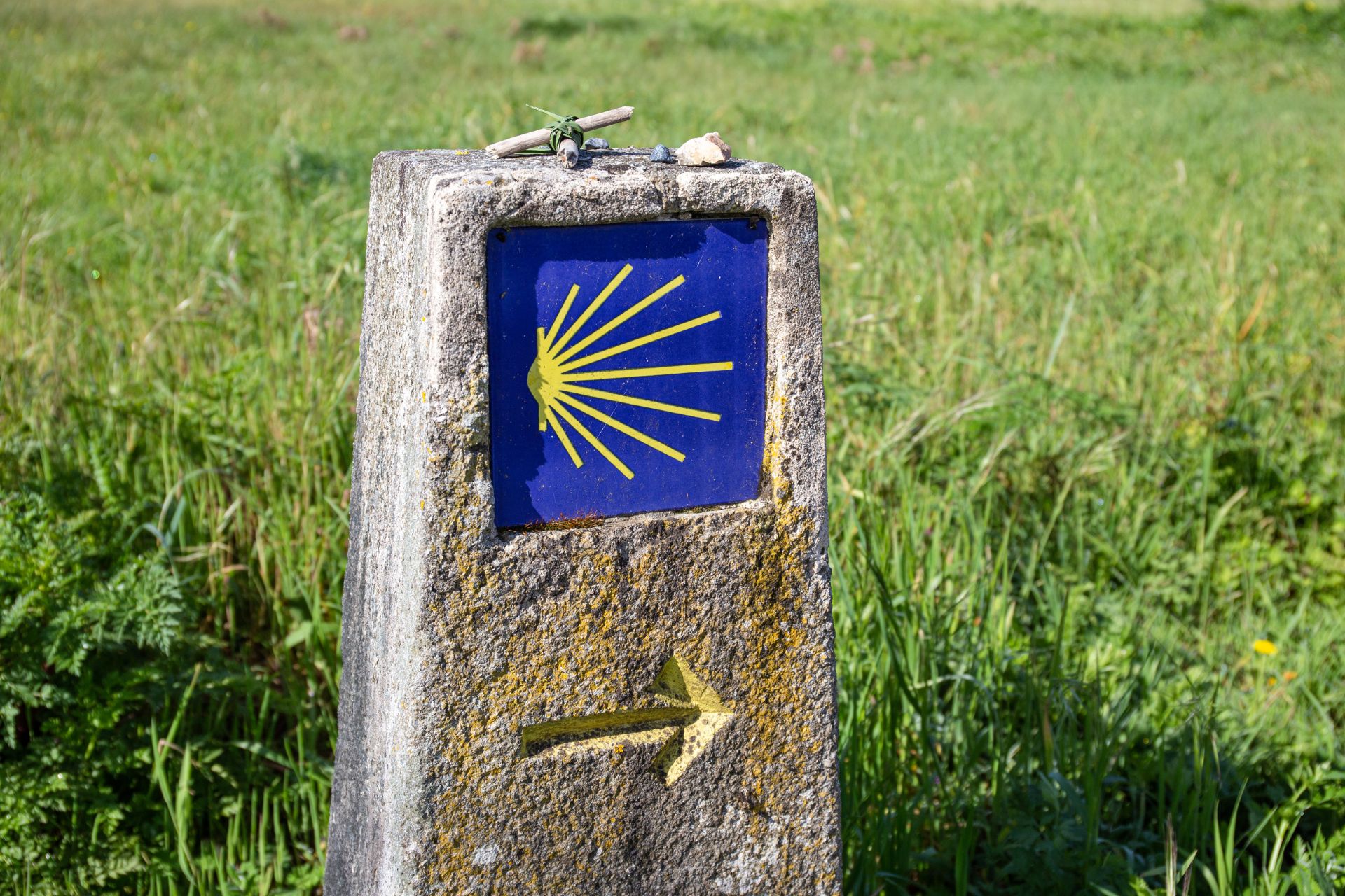 Camino de Santiago Mujeres de Viaje